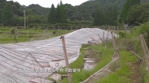 《福彩帮帮帮》为需要帮助的人送去希望1