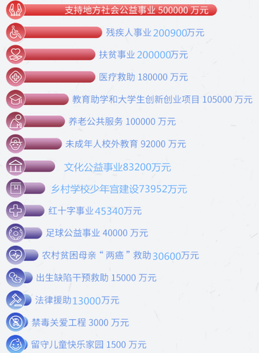 2018年中央专项彩票公益金使用图