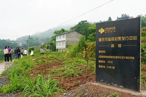重庆福彩