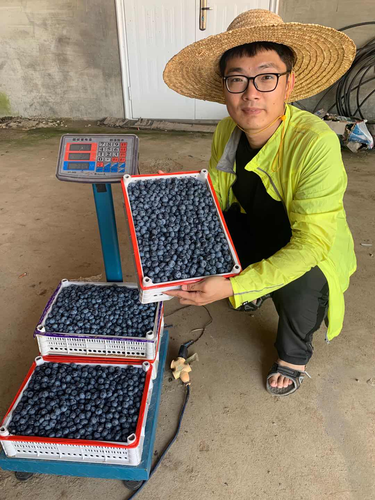 辽宁福彩