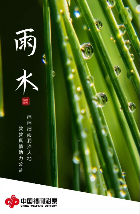 雨水