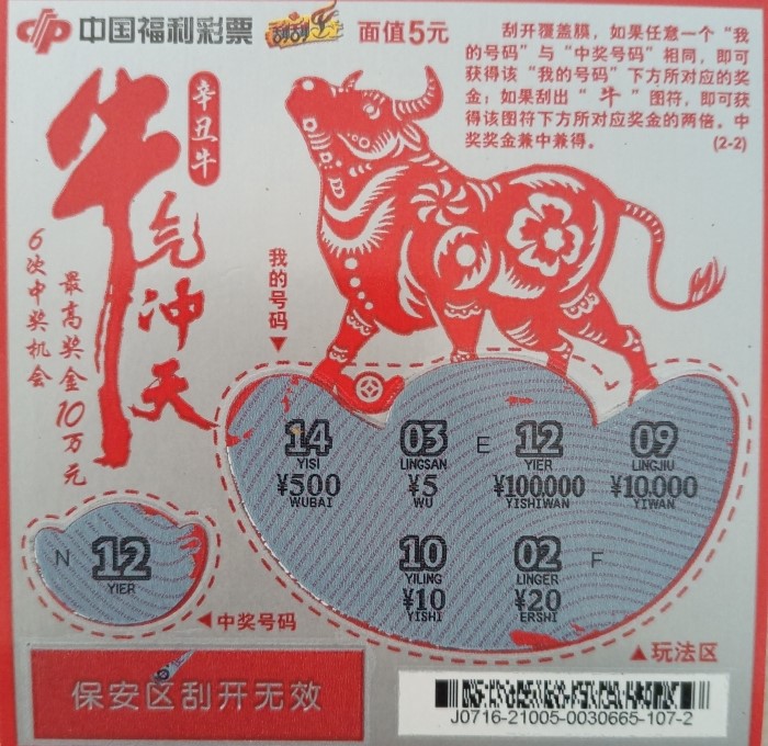 新春送祝福 牛年“牛气”旺3
