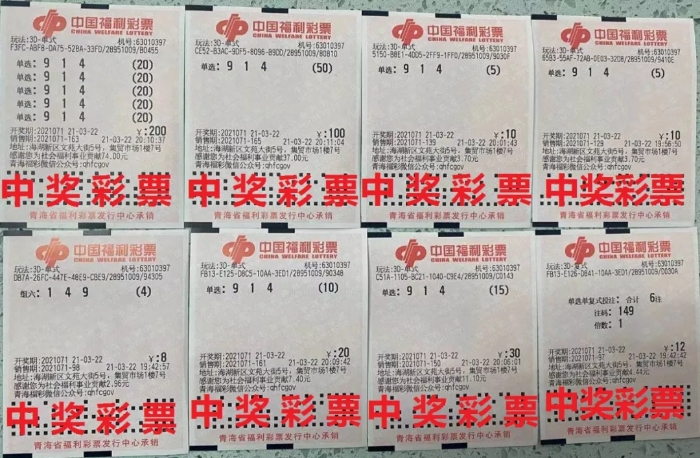 西宁彩民擒获19.8万元3D大奖.webp